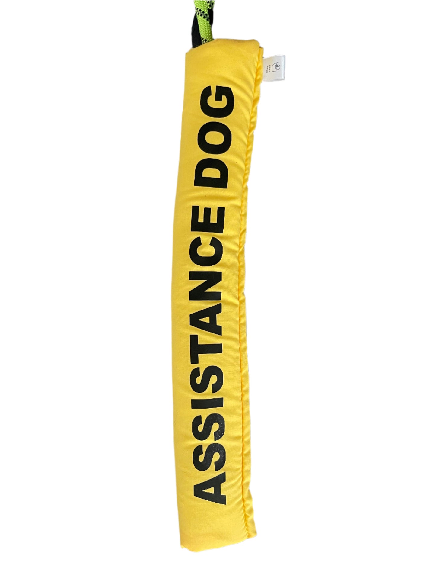 ASSISTANCE DOG