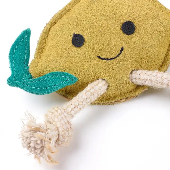 Libby the Lemon, Eco toy