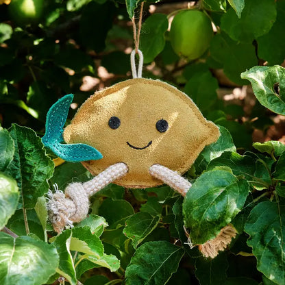 Libby the Lemon, Eco toy