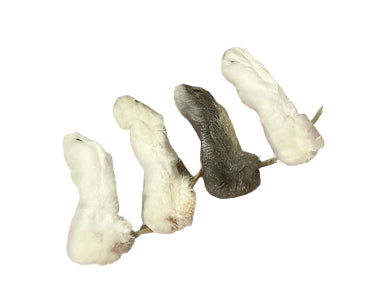 Rabbit Feet 100g