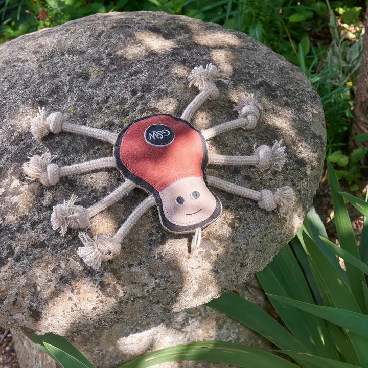 Spike The Spider, Eco Toy