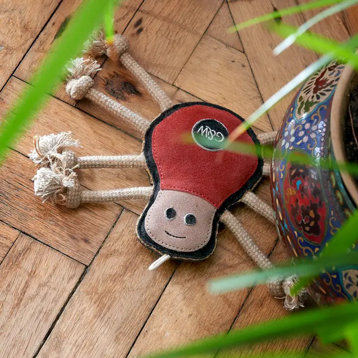 Spike The Spider, Eco Toy