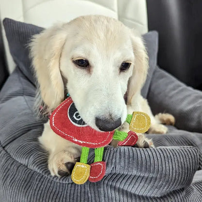 Steve the Strawberry, Eco Toy