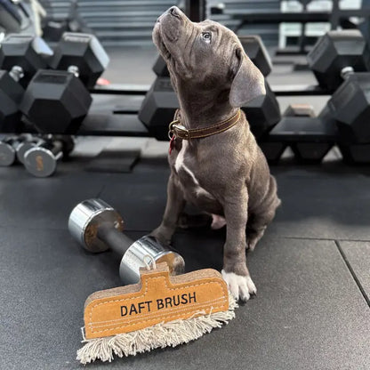 Daft Brush, Eco Dog Toy