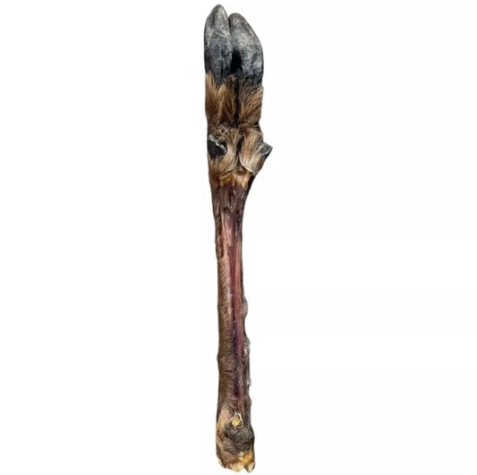 18" Long Deer Leg