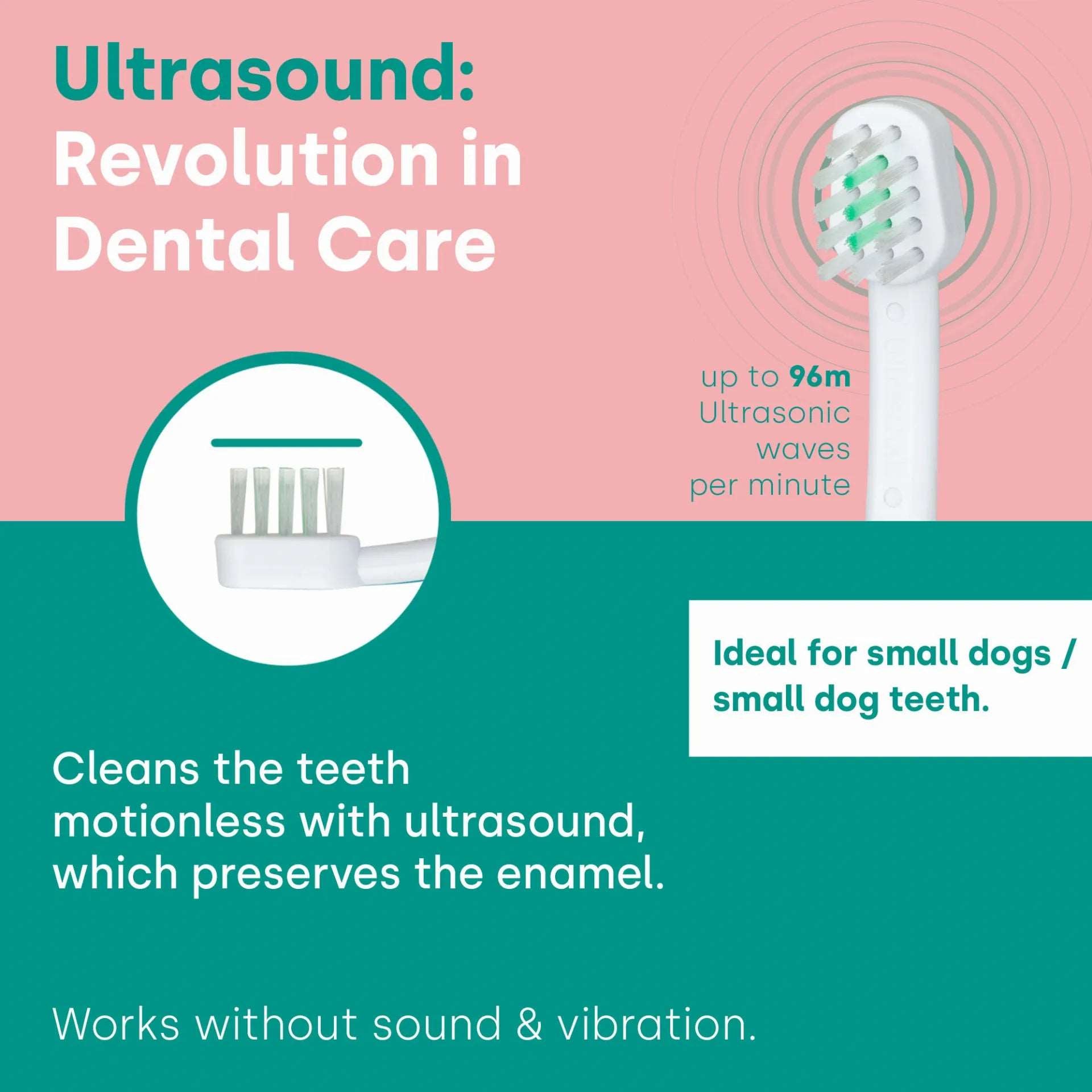 Emmi-Pet Ultrasound attachment (Large) (A2)